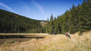 Outdoor Adventures in Bannfeld: Nature Awaits!