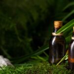 From Forest to Pharmacy: The Journey of Green Tree Remedy