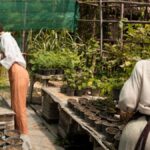 The Role of Sustainability in Ag-Kunst-Kultur Initiatives