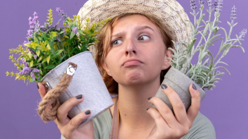 Common Mistakes in Germinatoire and How to Avoid Them